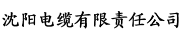 伦理片八戒影院电缆厂logo